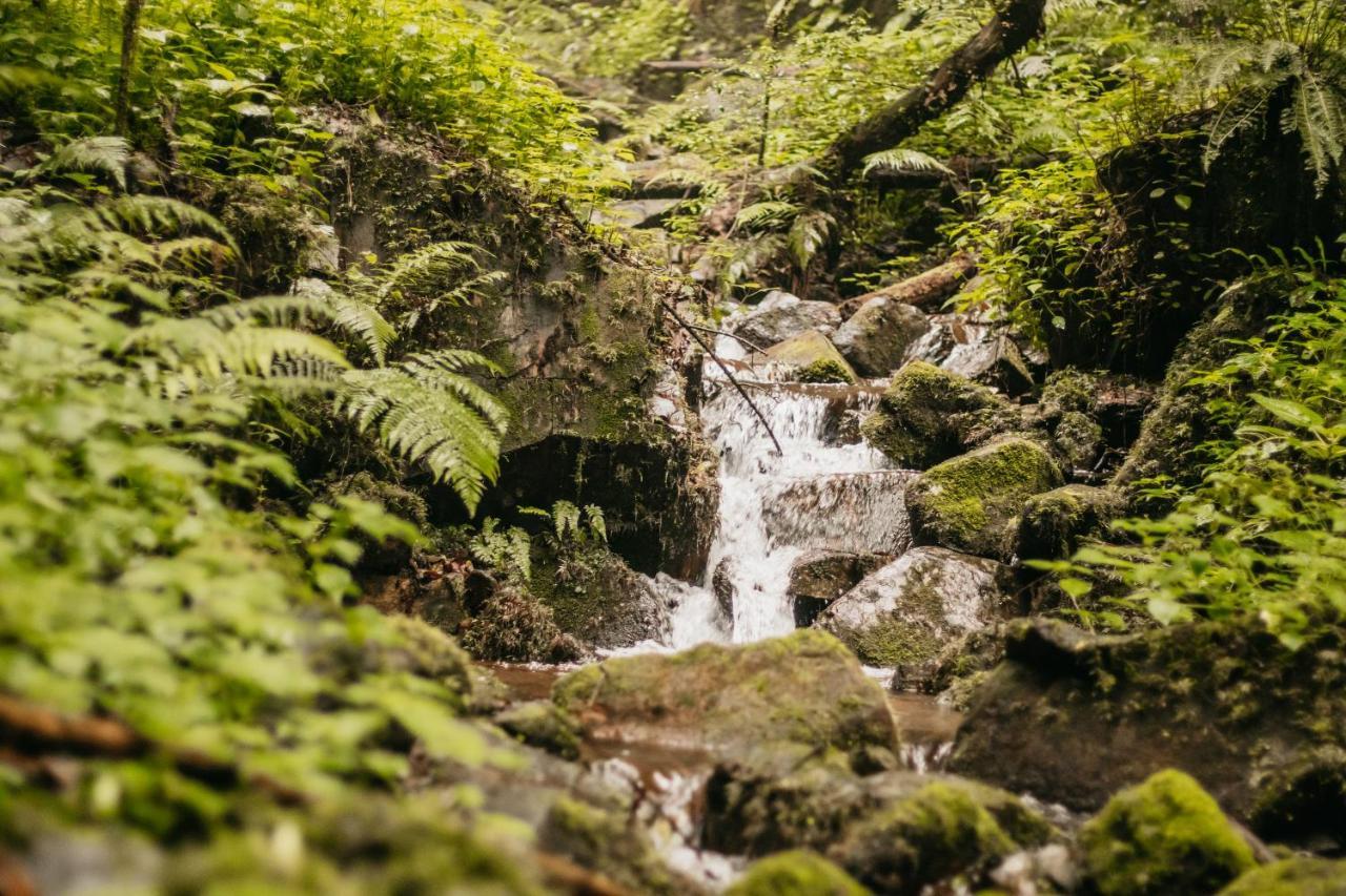 Mount Sheba Rainforest Hotel & Resort Pilgrimʼs Rest Εξωτερικό φωτογραφία