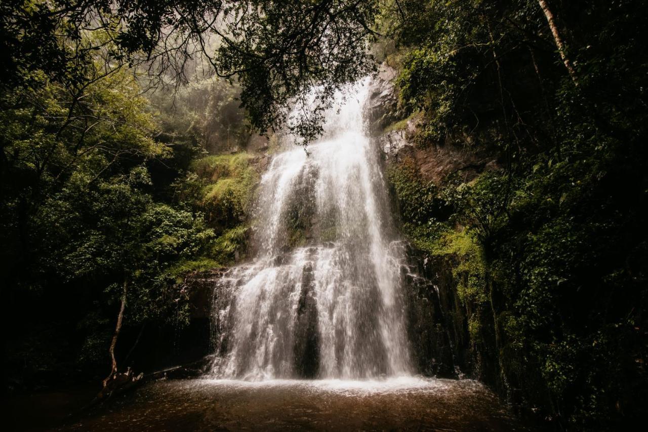 Mount Sheba Rainforest Hotel & Resort Pilgrimʼs Rest Εξωτερικό φωτογραφία