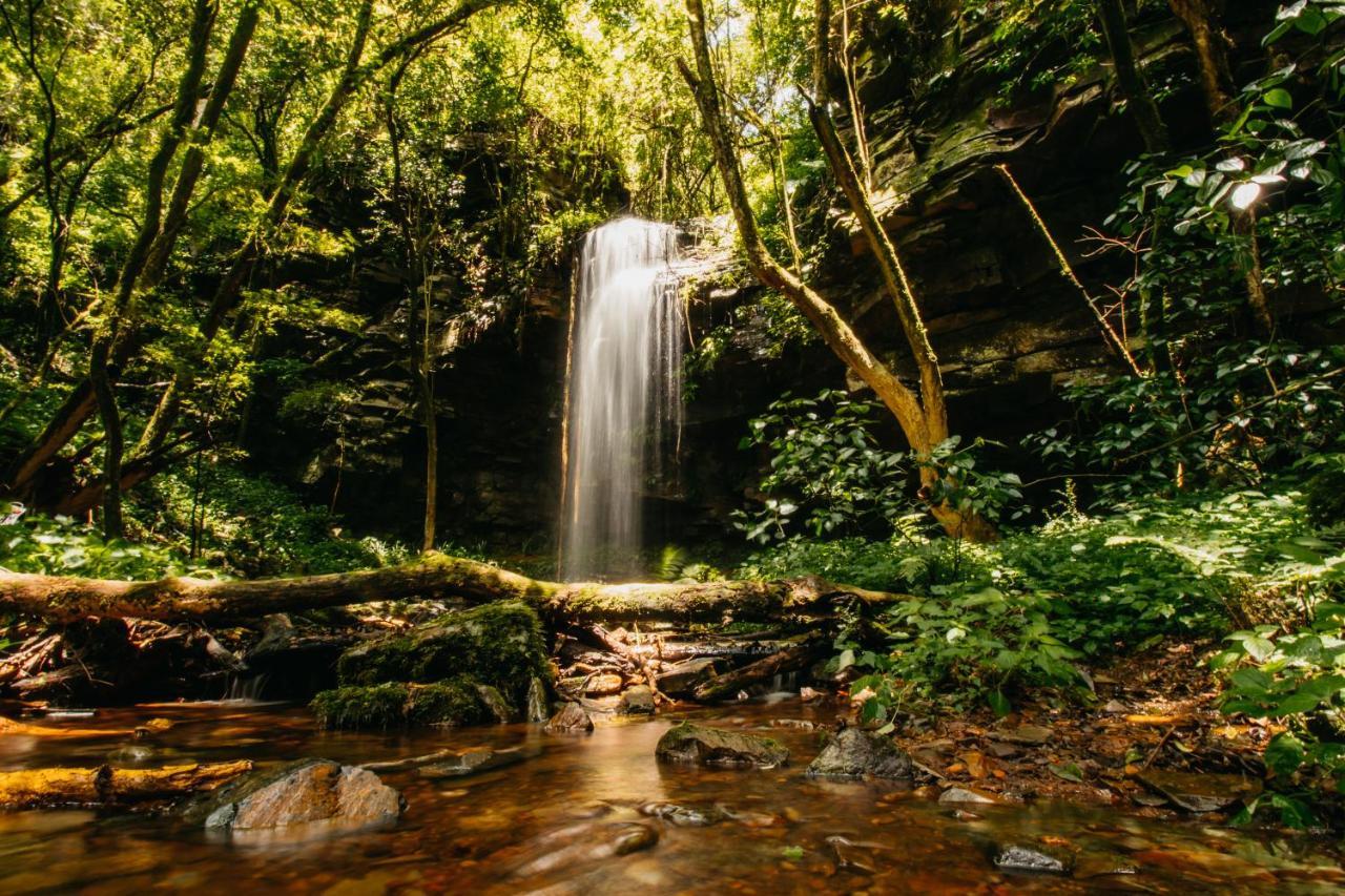 Mount Sheba Rainforest Hotel & Resort Pilgrimʼs Rest Εξωτερικό φωτογραφία